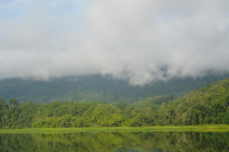 Humidity Landscape
